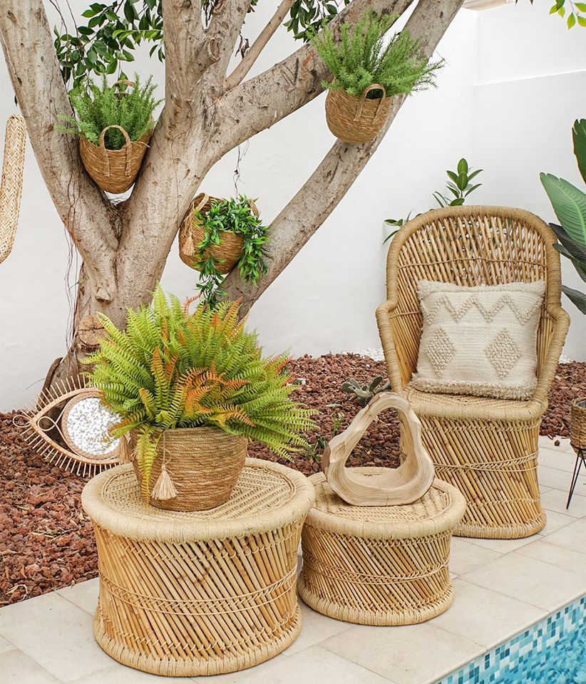 Inside the Jungle, apasionados y naturales