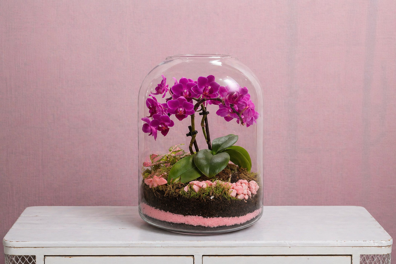 Terrario de Orquídea