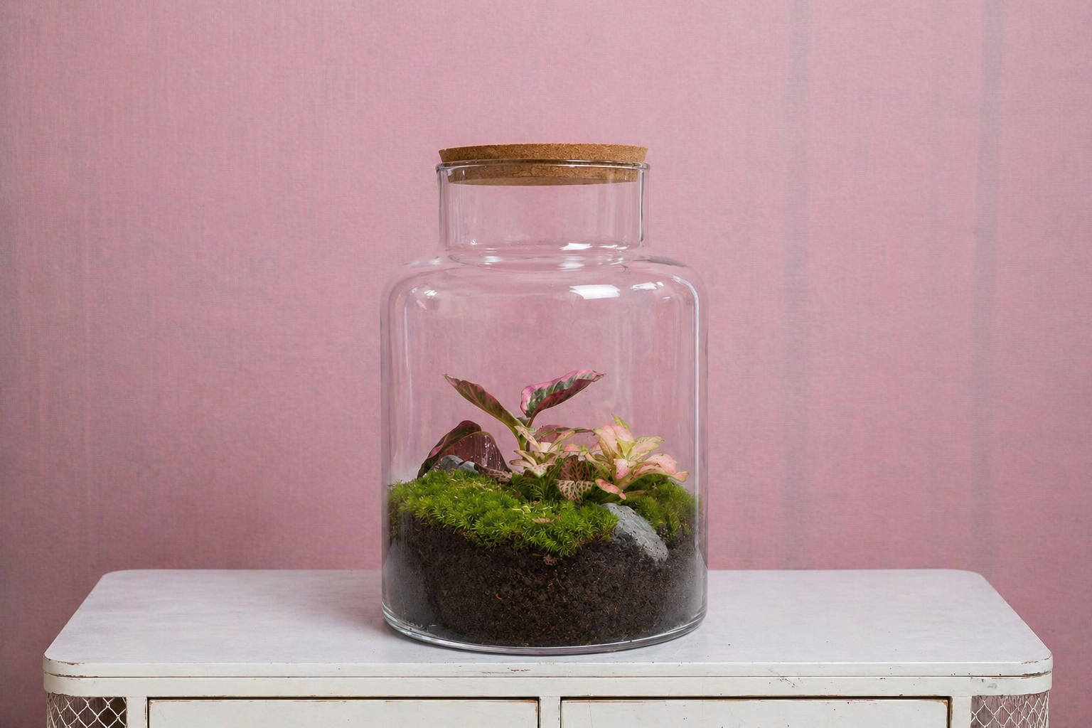 Terrario de Calathea