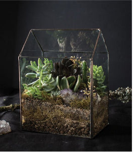 Taller: Hacemos un terrario