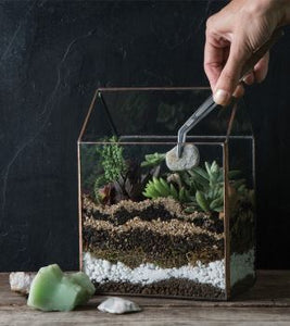 Taller: Hacemos un terrario