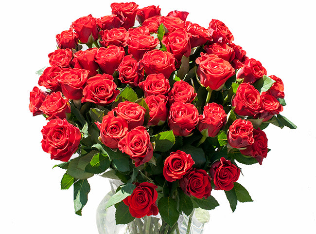 Ramos de rosas rojas